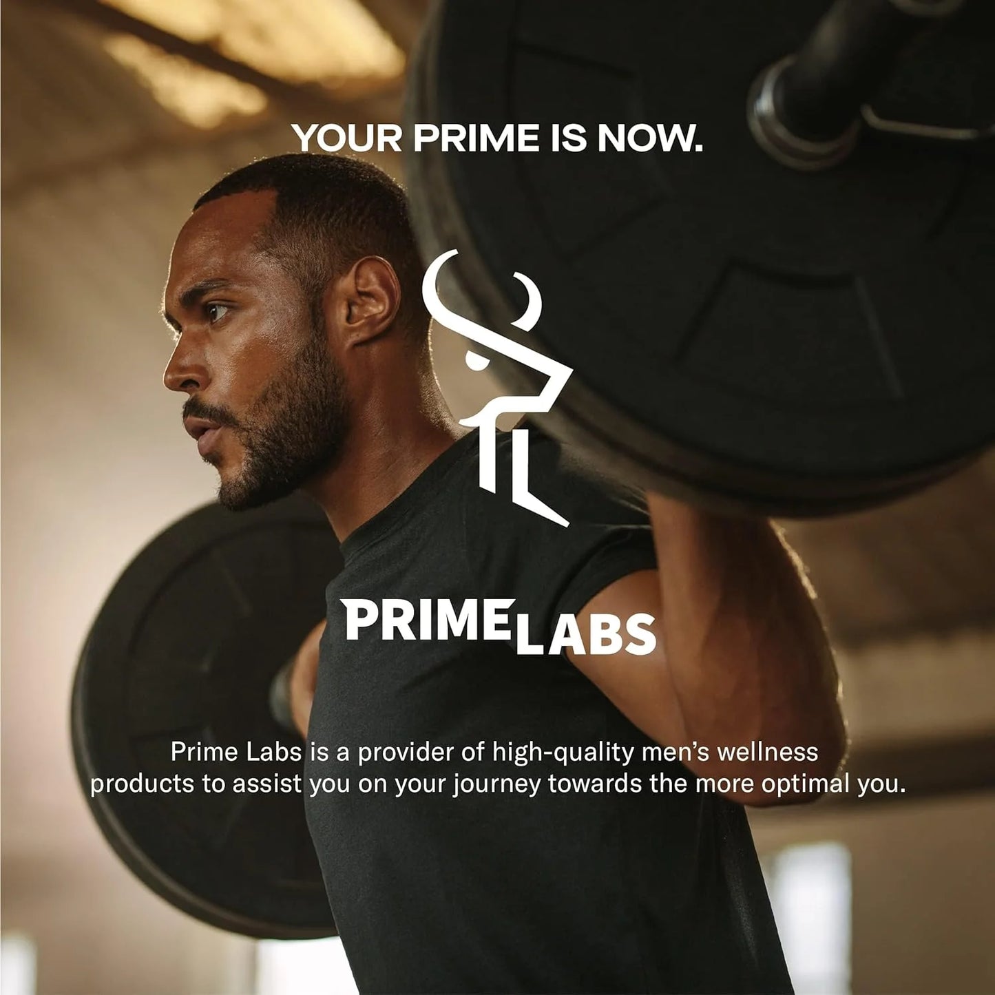 Prime Test